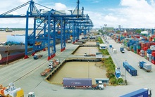 Bức tranh kinh doanh nhóm 'Tân Cảng' nửa đầu năm