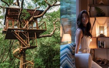 Trào lưu du lịch mới của giới siêu giàu: Ở nhà trên cây nhưng phải xứng tầm đẳng cấp. Đẳng cấp đó như thế nào thì hãy xem những bức ảnh này