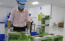 Một năm thực thi EVFTA: Nhiều ngành hưởng lợi