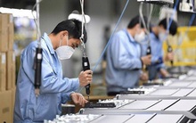 3 cái tên đầu tiên tại Tp.HCM được vay lãi suất 0% để trả lương thôi việc cho lao động