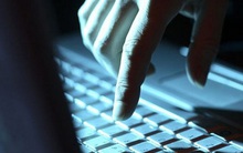 Thị giá tăng trần liên tiếp, BII sắp chào bán 15 triệu cổ phiếu riêng lẻ