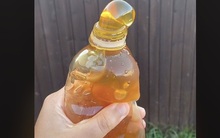Sự thật đáng sợ phía sau những hũ mật ong đông lạnh đang bùng nổ khắp Tiktok