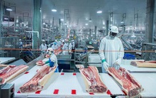 Giá lợn hơi giảm sâu kỷ lục, Việt Nam vẫn ồ ạt nhập thịt ngoại