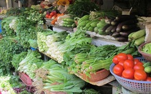 Hà Nội trưng dụng 5 địa điểm làm nơi tập kết nông sản, hàng hóa thiết yếu