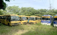 Ô tô 'đắp chiếu' vẫn gánh phí bảo trì