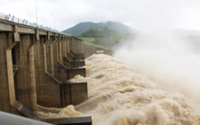 Thủy điện sông Ba Hạ (SBH) chi tiếp 370 tỷ đồng trả cổ tức tỷ lệ gần 30% cho cổ đông