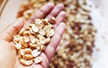 Ăn một nắm đậu phộng mỗi ngày, sau một thời gian, cơ thể có ngay 5 thay đổi khiến ai cũng ngưỡng mộ