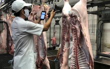 Lợn, trứng vẫn ùn ứ ở Đồng Nai