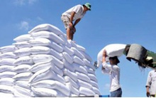 Nhập khẩu đường tăng vọt bất thường