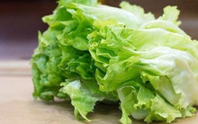 Loại rau dân dã ở Việt Nam, ăn không hết chẳng ngại vứt luôn nhưng sang Nhật có giá 1 triệu đồng/lạng