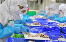 VASEP: Nguy cơ gãy đổ chuỗi sản xuất, xuất khẩu thủy sản ngay trước mắt