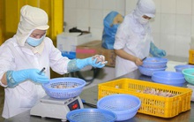 Doanh nghiệp "3 tại chỗ" lại kêu khổ