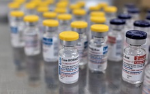 Thị giá VMD tăng trần 14 phiên lên gấp 3 lần, vợ Phó Chủ tịch đăng ký bán 200.000 cổ phiếu