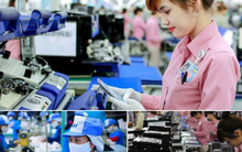 Những “con gà đẻ trứng vàng” tỷ đô