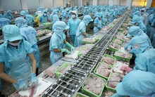 VASEP: Các doanh nghiệp chỉ duy trì được "3 tại chỗ" tối đa 4-5 tuần, kiến nghị giảm 30% tiền điện và lãi vay ngân hàng