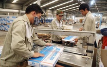 CVT chuẩn bị huy động 700 tỷ đồng trái phiếu, lãi suất cố định 10,5%/năm