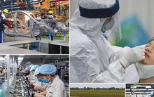 Những “tấm khiên” giúp người dân, doanh nghiệp trụ vững trong dịch bệnh