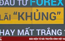 Cơ hội triệu đô, chuyên gia đọc lệnh, thủ lĩnh huyền thoại: Đầu tư Forex, lãi khủng hay mất trắng?