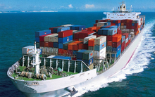 Lãi lớn nhờ kinh doanh chứng khoán, MHC lãi 6 tháng vượt 54% kế hoạch năm