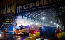 Trung Quốc tung bằng chứng bất ngờ về nguồn gốc COVID-19: Manh mối liên quan trực tiếp Vũ Hán