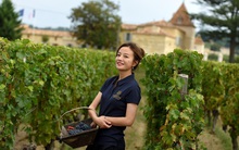 Triệu Vy kinh doanh rượu vang như thế nào trong 10 năm qua?