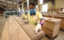 Khẩn cấp cứu nguy cho doanh nghiệp