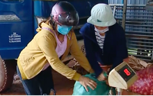 Chanh dây được giá, nông dân Gia Lai thu hàng trăm triệu đồng/ha