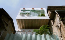 Có gì trong ngôi nhà lồng chim của cô gái trẻ tại Tp.HCM vừa được báo Mỹ giới thiệu?