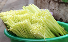 Loại rau miền Tây xưa mọc không ai hái, giờ thành đặc sản nổi tiếng bán trên chợ mạng giá 120.000 đồng/kg