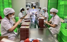 'Vùng xanh' bị chia cắt: Doanh nghiệp thiếu công nhân trầm trọng