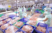 ‘Hiến kế’ cho chương trình phục hồi kinh tế trong điều kiện mới