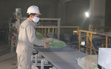 Tiêu thụ xi măng vẫn tăng dù ảnh hưởng của đại dịch COVID-19