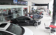 Cảnh chưa từng thấy: 200 đại lý ô tô đóng băng mùa dịch, doanh số thấp kỷ lục trong 10 năm