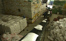 Trong tháng 10, Bộ Kế hoạch và Đầu tư sẽ trình Chính phủ đề án phục hồi kinh tế