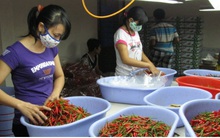 Nhiều mặt hàng nông sản lên giá, người dân phấn khởi