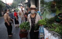 Nghịch lý giá rau