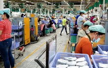 'Vùng xanh' phục hồi sản xuất