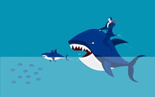 Louis Land (BII) bất ngờ trở thành cổ đông lớn tại Thuduc House (TDH)