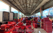Hỗ trợ ngư dân tiêu thụ gần 300 tấn hải sản bị ứ đọng