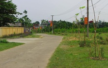 Bán 100m2 đất nông thôn, đủ tiền mua một căn chung cư cho con trên Hà Nội