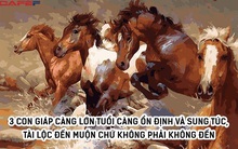 3 con giáp khổ trước sướng sau, càng lớn tuổi càng ổn định và sung túc, tài lộc đến muộn chứ không phải không đến