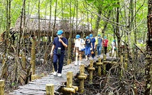 Doanh nghiệp "tìm đường" trở lại: Cần lộ trình cụ thể