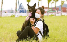 Là bé gái phải sống trong trung tâm bảo trợ, cô gái trẻ nỗ lực vươn lên, khởi nghiệp đa ngành nghề và đạt được thành công ở tuổi 30