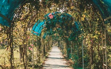 Đại học đẹp nhất nhì Hà Nội: Trường gì mà như chốn non nước hữu tình, còn có sự tích gây xôn xao MXH suốt thời gian dài