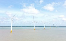 TEG đấu giá 10 triệu cổ phần, lượng đăng ký gần gấp rưỡi số lượng chào bán