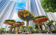 TNS Holdings (TN1) muốn huy động hơn 490 tỷ đồng trái phiếu để thanh toán nợ vay