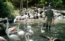 Cận cảnh Thảo Cầm Viên Sài Gòn sau nhiều tháng đóng cửa