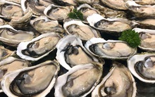 Quảng Ninh: Người đàn ông tử vong do ăn hàu sống