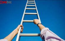 Tại sao chúng ta cần làm việc chăm chỉ và kiếm nhiều tiền? 4 lý do thấu suốt khiến bạn không được lười biếng 1 giây!