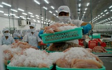 Kiến nghị tăng số giờ làm thêm lên 400 giờ trong 1 năm